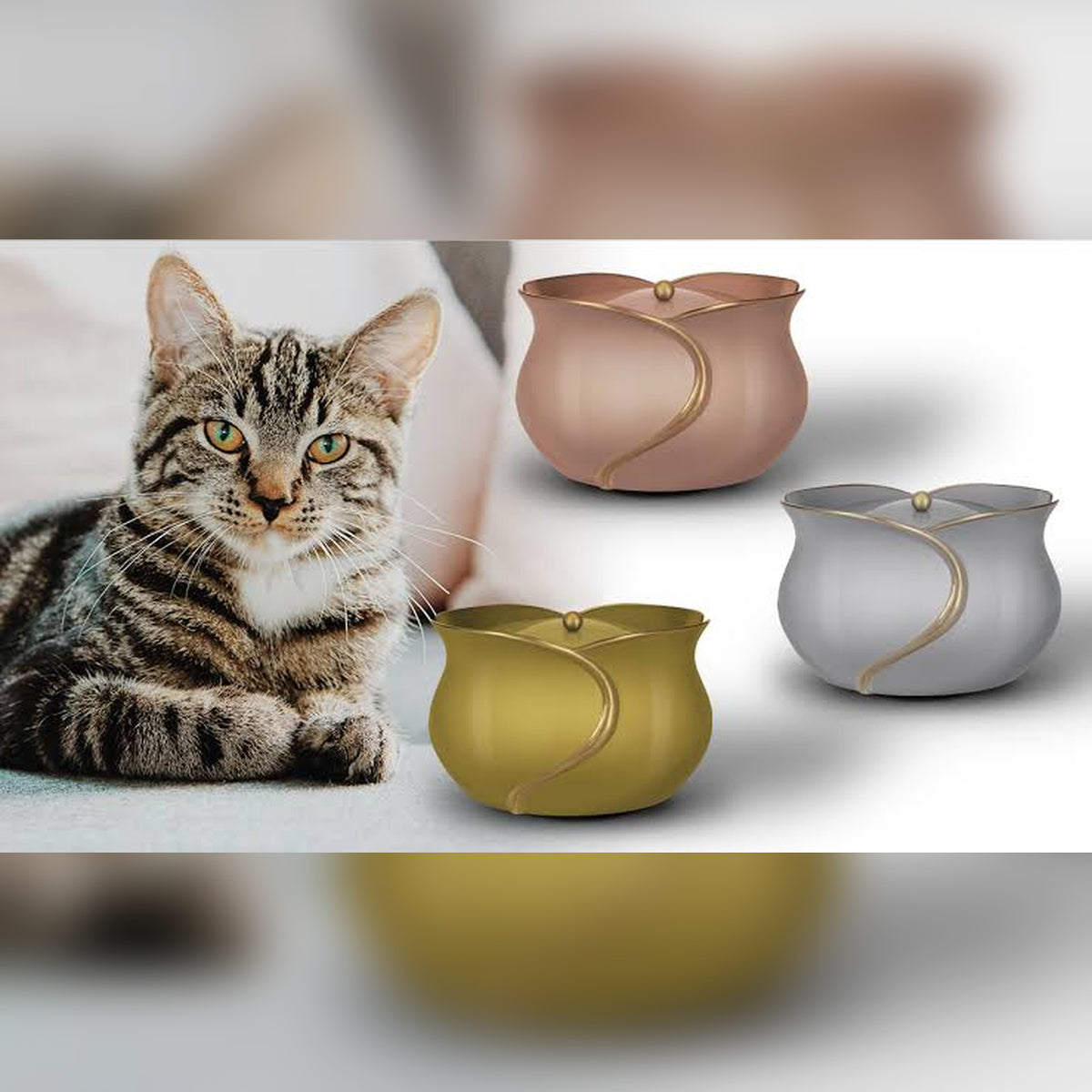 Urna in Bronzo Pet