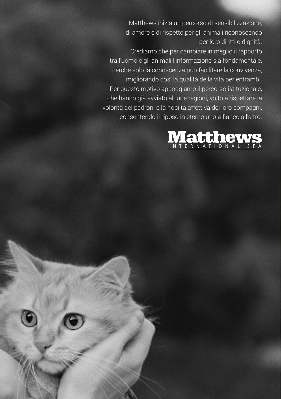 Pet Service – Pagina 08
