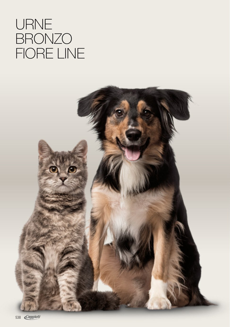 Pet Service – Pagina 09