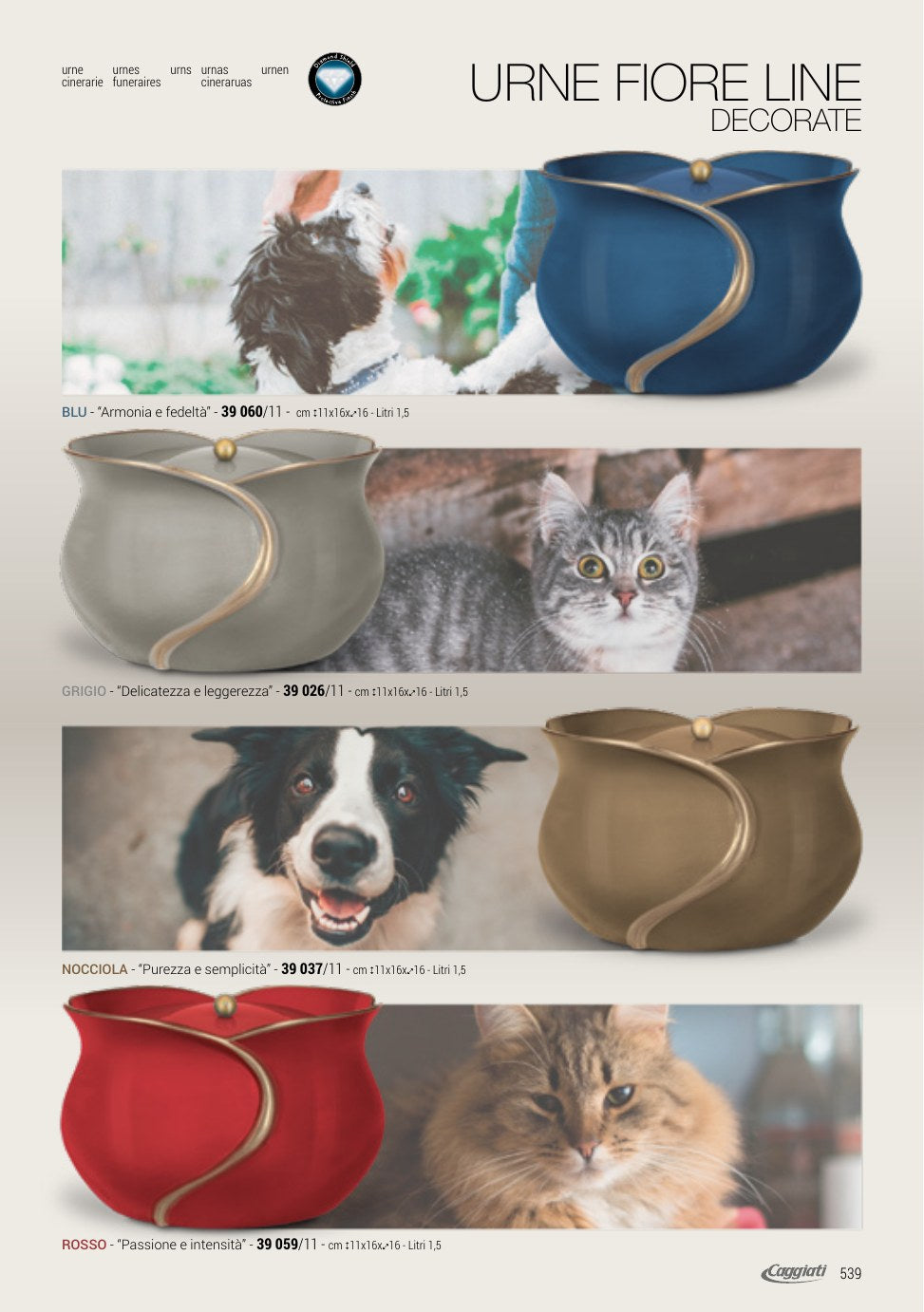 Pet Service – Pagina 10
