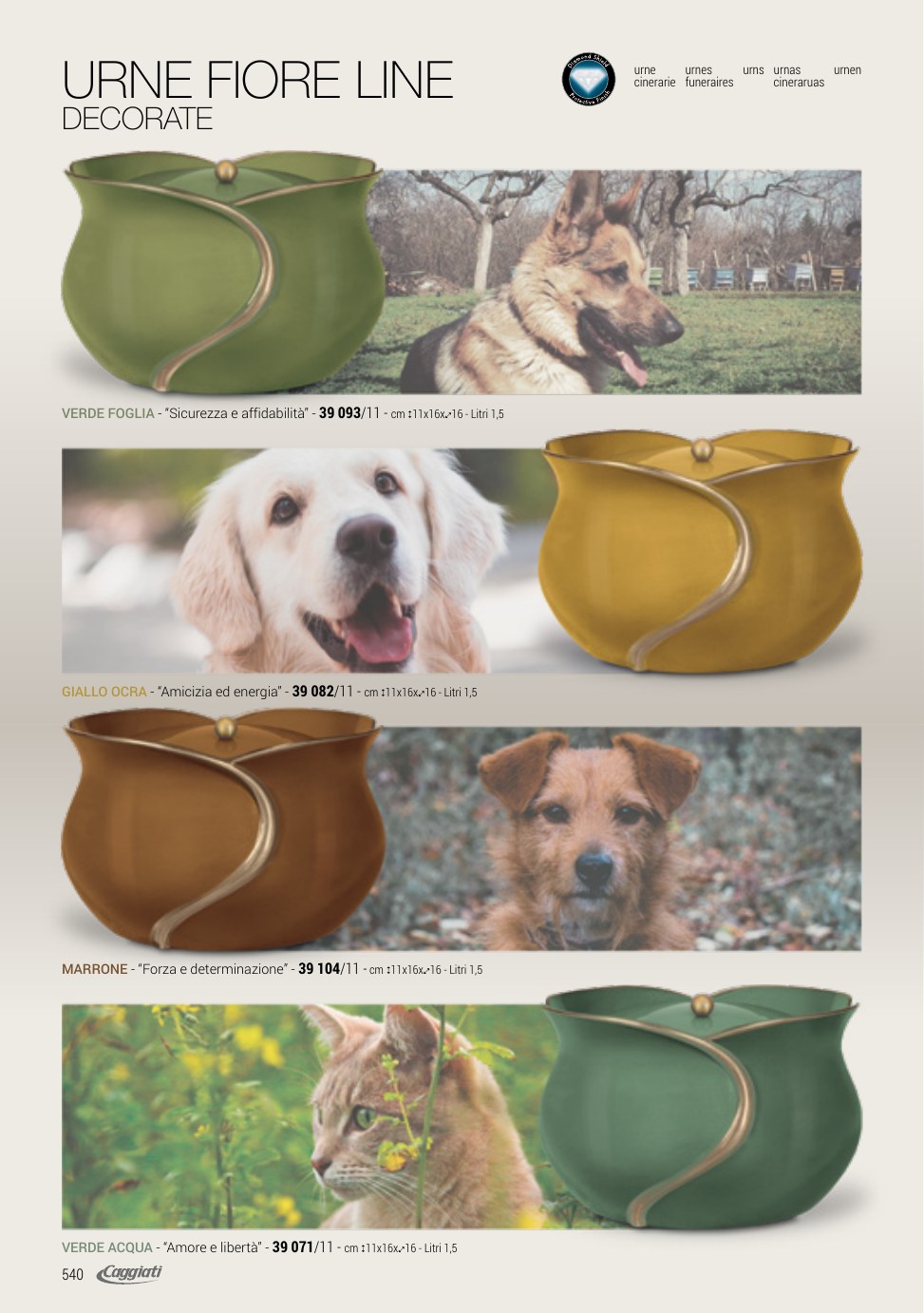 Pet Service – Pagina 11