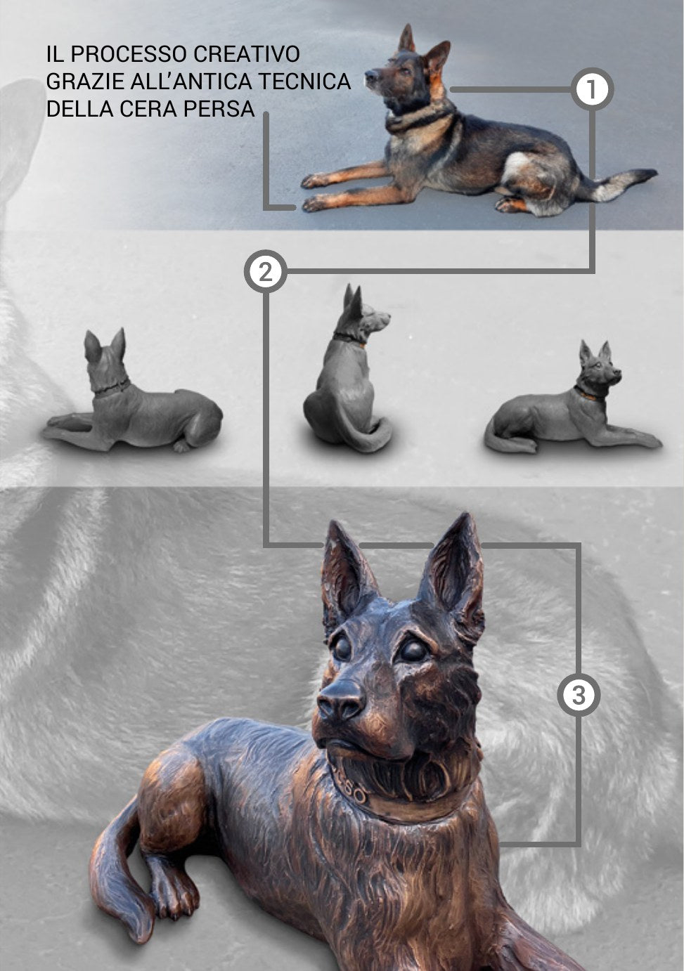 Pet Service – Pagina 14