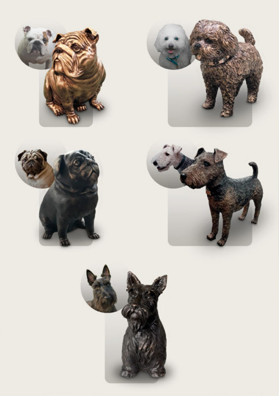 Pet Service – Pagina 16